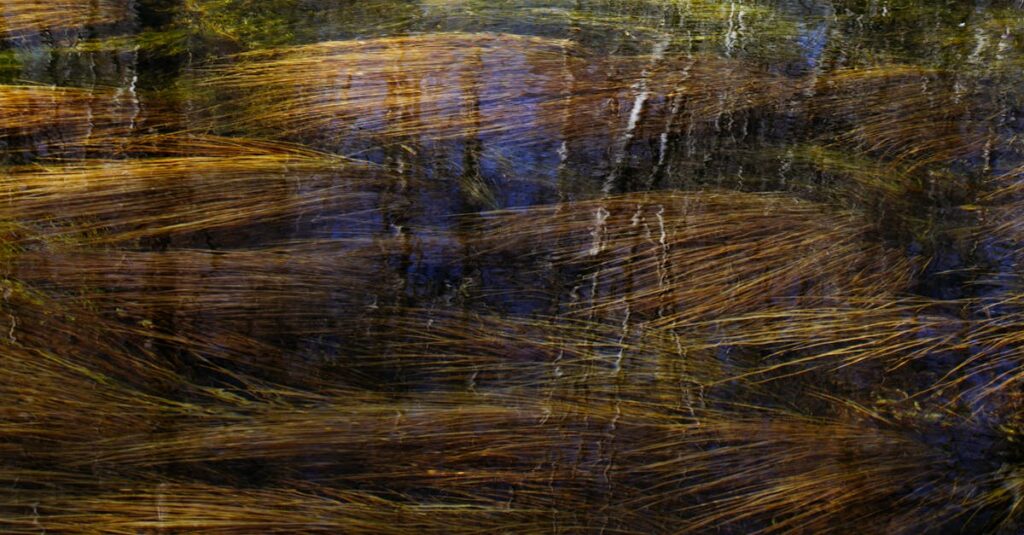 The Cleanest Rivers in the US—Which Ones Are Still Crystal Clear?